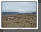 Caral