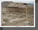 Caral