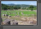 Vergina