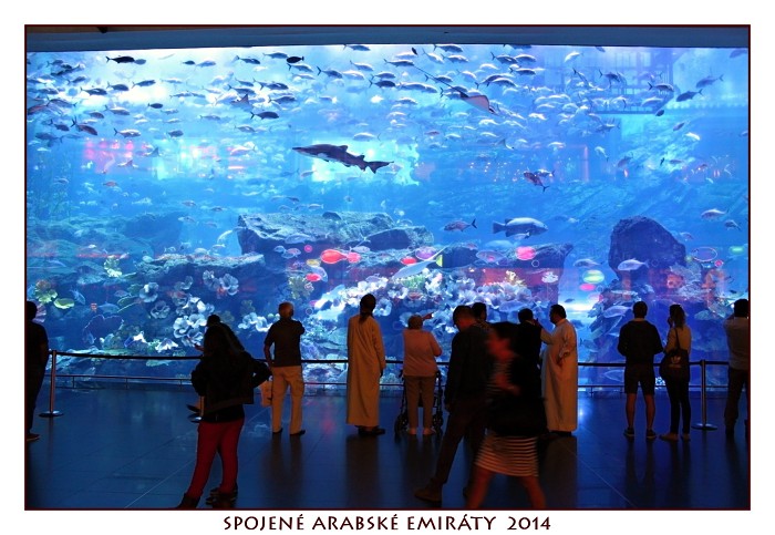 SPOJENÉ ARABSKÉ EMIRÁTY