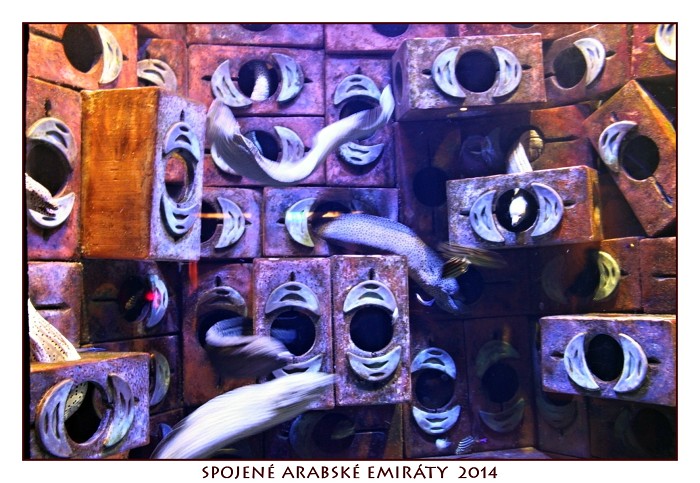 SPOJENÉ ARABSKÉ EMIRÁTY