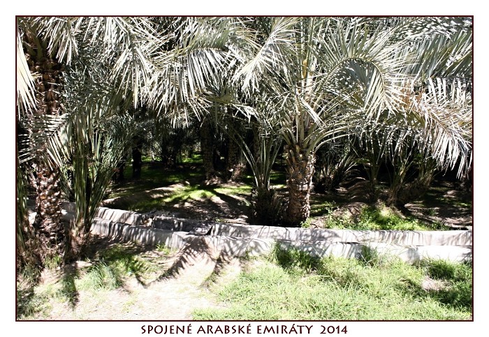 SPOJENÉ ARABSKÉ EMIRÁTY