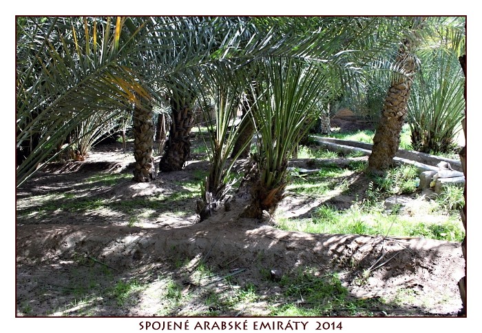 SPOJENÉ ARABSKÉ EMIRÁTY