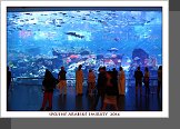 Dubaj