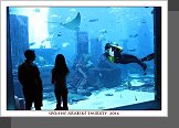 Dubaj