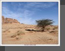 Madain Saleh
