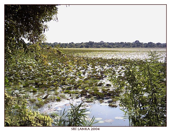 SRÍ LANKA