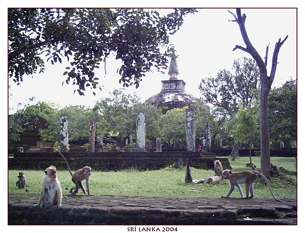 SRÍ LANKA