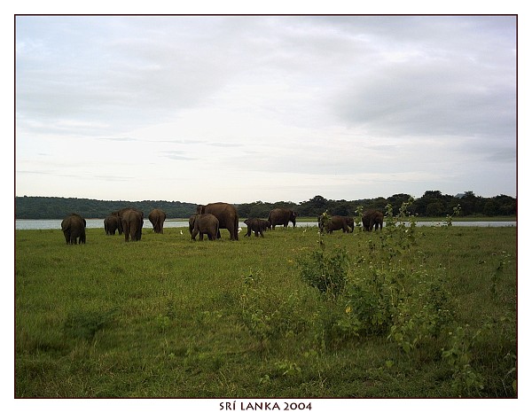SRÍ LANKA