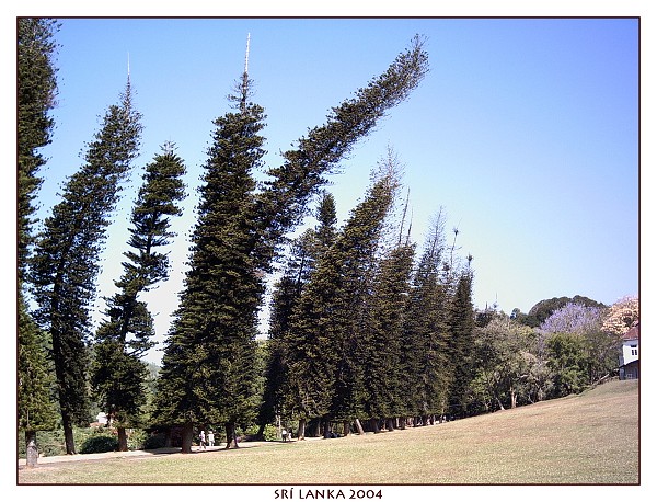 SRÍ LANKA