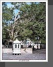 Dambulla