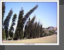 Peradeniya