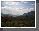Nuwara Eliya