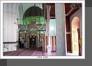 Homs