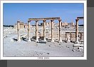 Palmyra