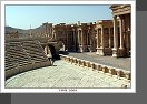 Palmyra