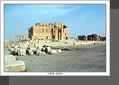 Palmyra