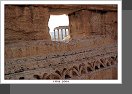 Palmyra