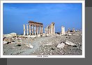 Palmyra