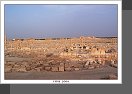 Palmyra