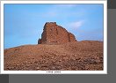 Palmyra