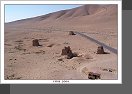 Palmyra