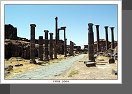 Bosra