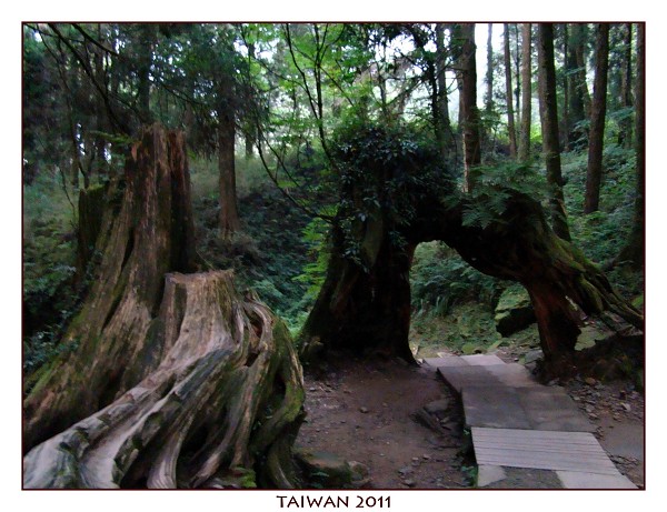 TAIWAN