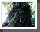 Alishan