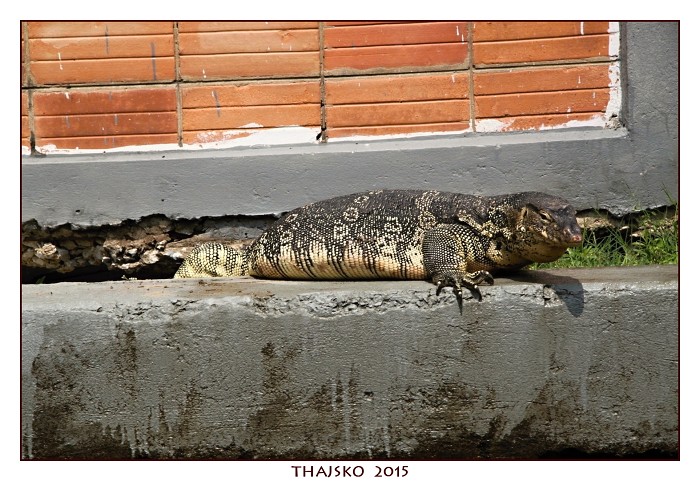 THAJSKO_2015