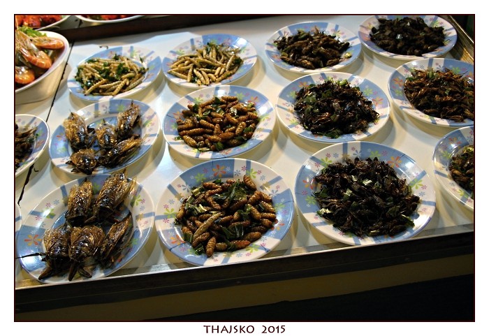 THAJSKO_2015