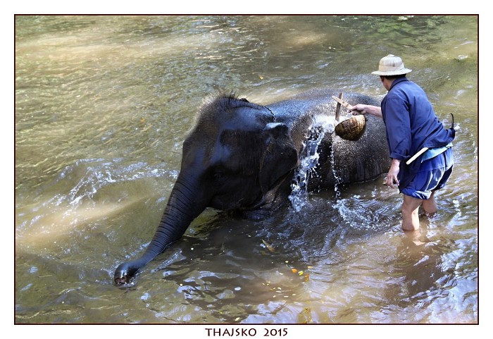 THAJSKO_2015