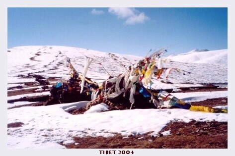 TIBET