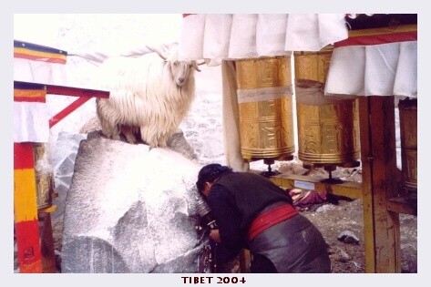 TIBET