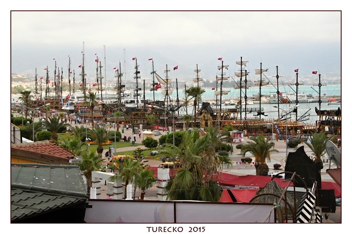 TURECKOE 2015