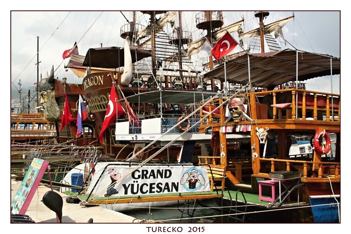 TURECKOE 2015