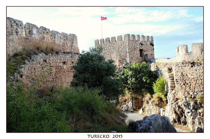 TURECKOE 2015