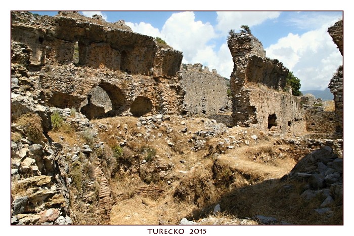 TURECKOE 2015
