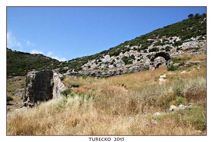 TURECKOE 2015