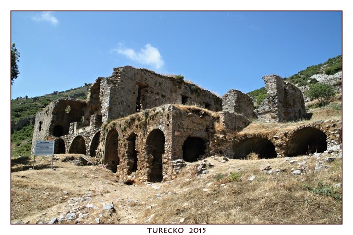 TURECKOE 2015