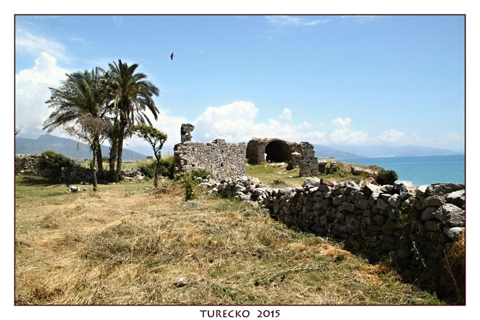 TURECKOE 2015