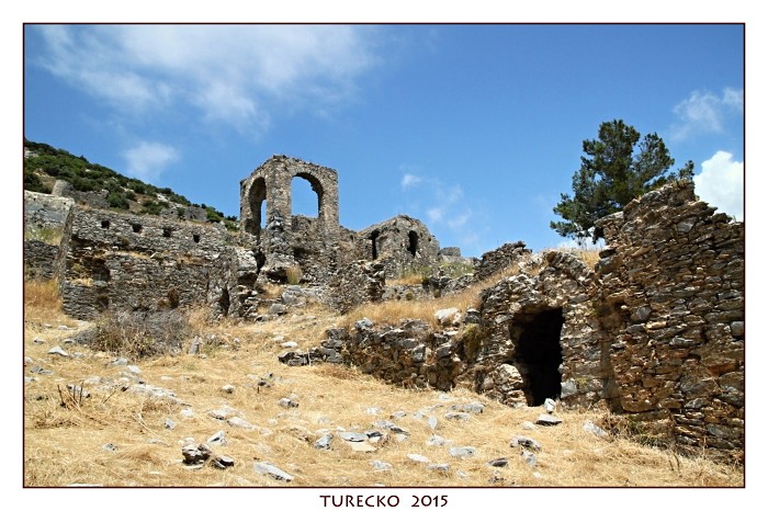 TURECKOE 2015