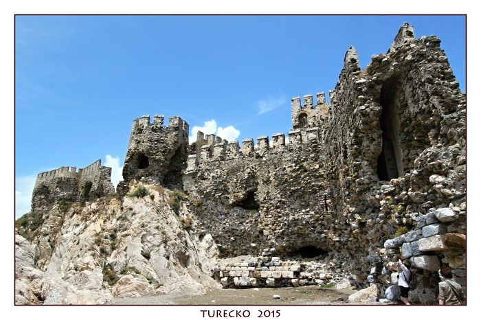 TURECKOE 2015