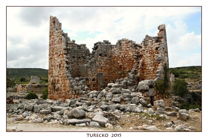 TURECKOE 2015