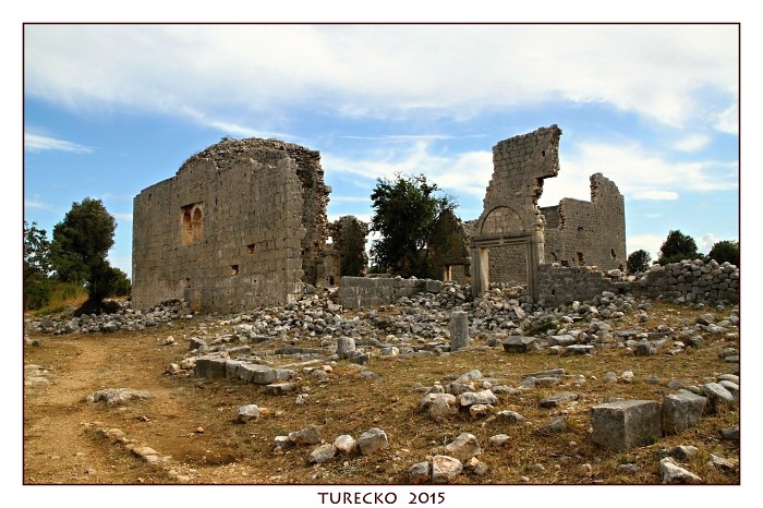 TURECKOE 2015