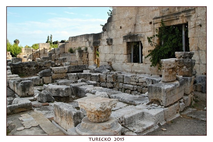 TURECKOE 2015