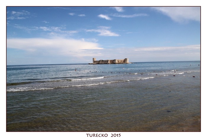 TURECKOE 2015