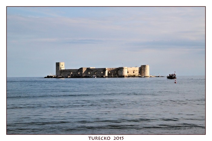 TURECKOE 2015