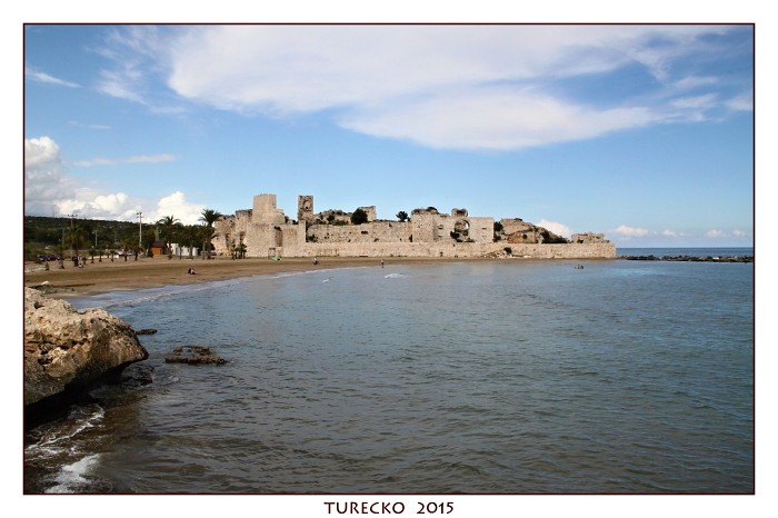 TURECKOE 2015