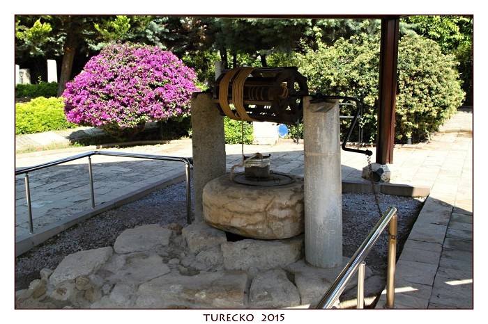 TURECKOE 2015